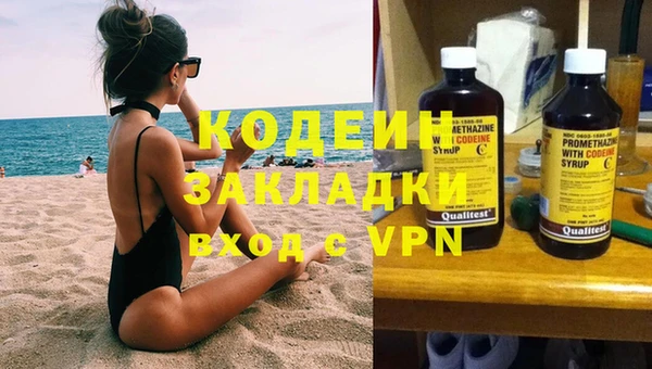 стаф Аркадак
