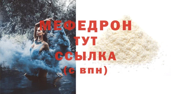 стаф Аркадак